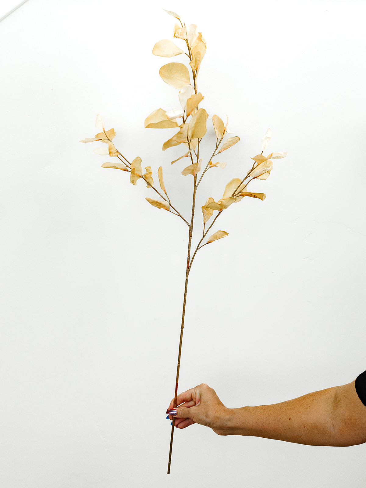 Cream Eucalyptus Spray - 38.5"