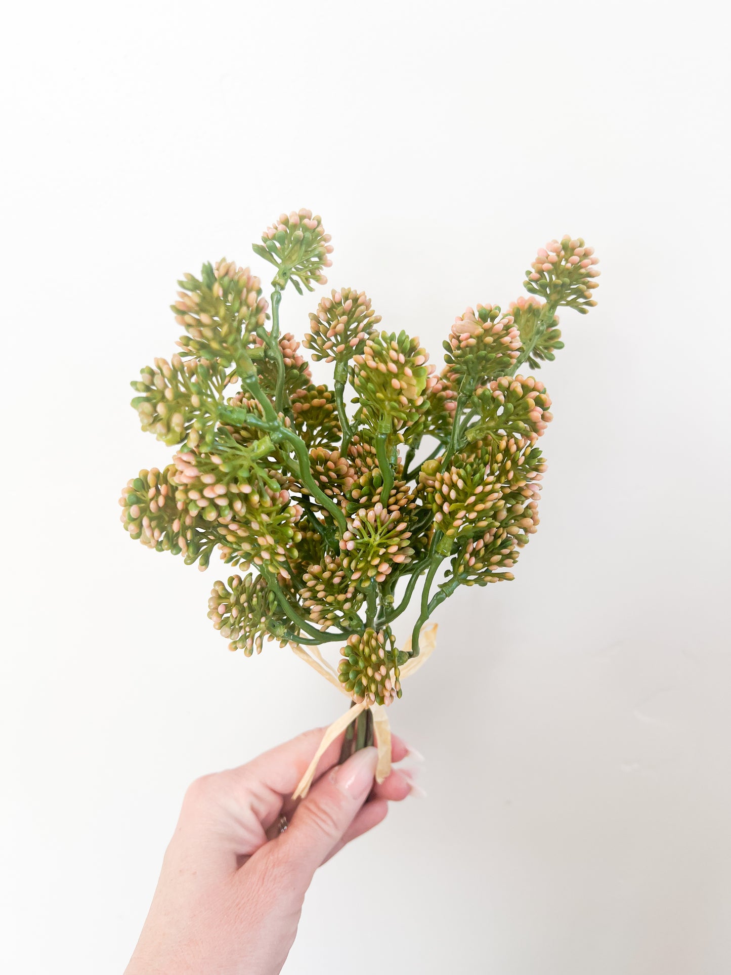 Soft Sedum Bundle - 11"