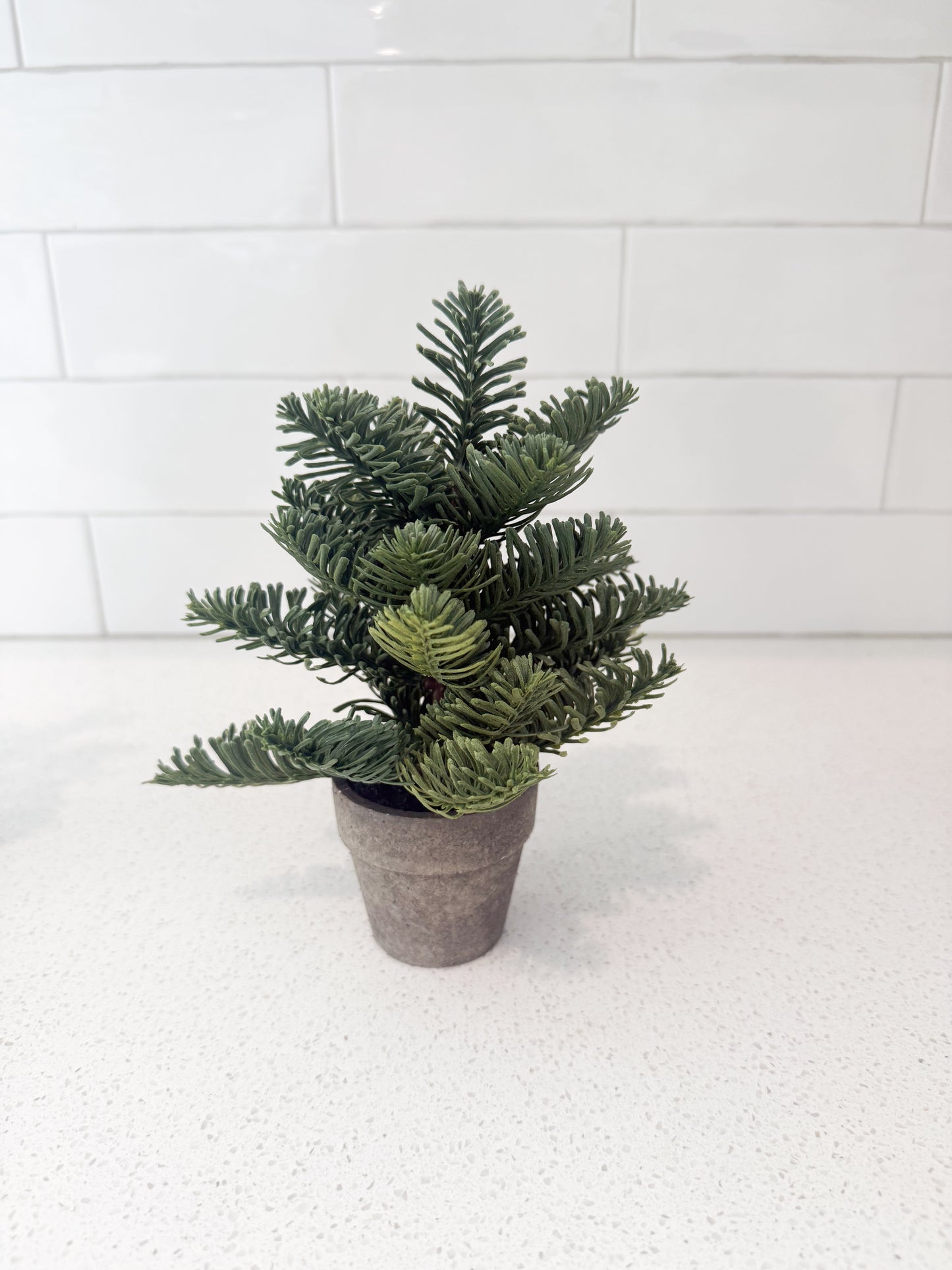 Potted Pines - 3 tree styles & 2 different sizes