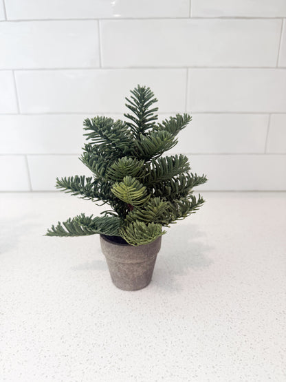 Potted Pines - 3 tree styles & 2 different sizes