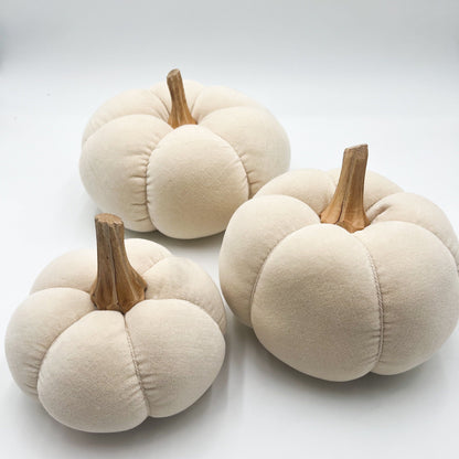 Cream Velvet Pumpkin - Small