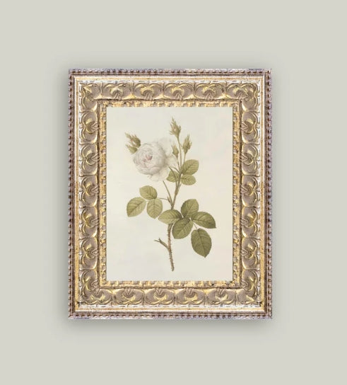 White Rose Framed Art