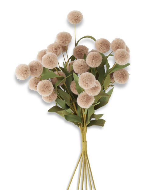 Tan Pompom Bundle - 6 Stems