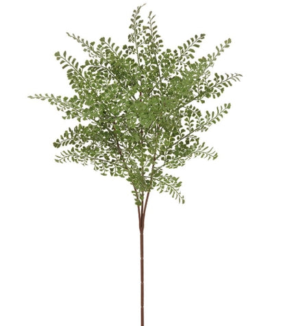 Maidenhair Fern Spray - 32"