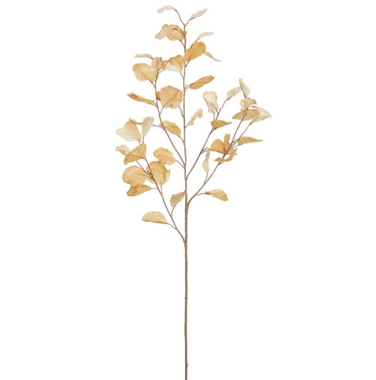 Cream Eucalyptus Spray - 38.5"