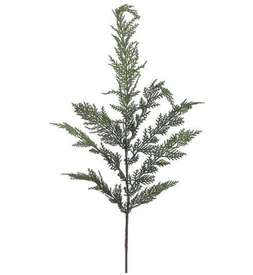 Cedar Spray - 30"