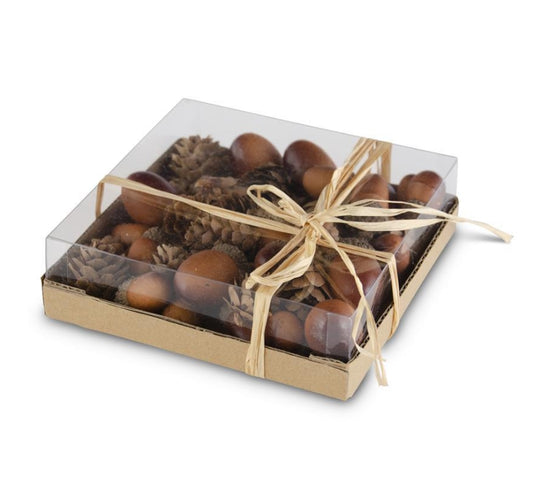 Box of 24 Assorted Acorns and Pinecones