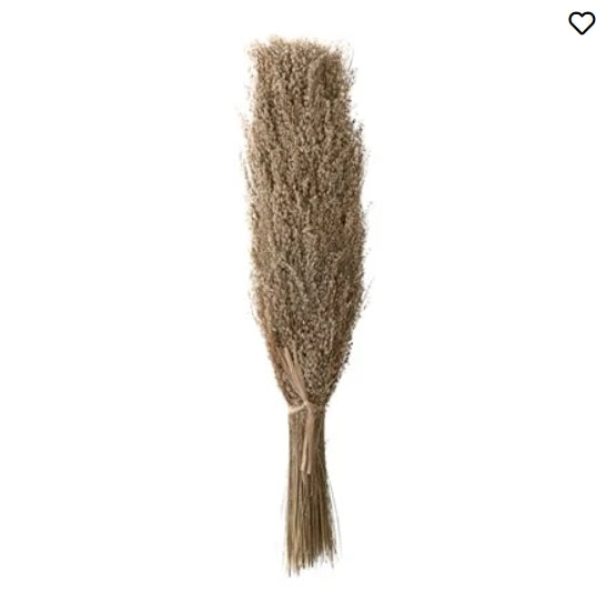 Dried Star Grass