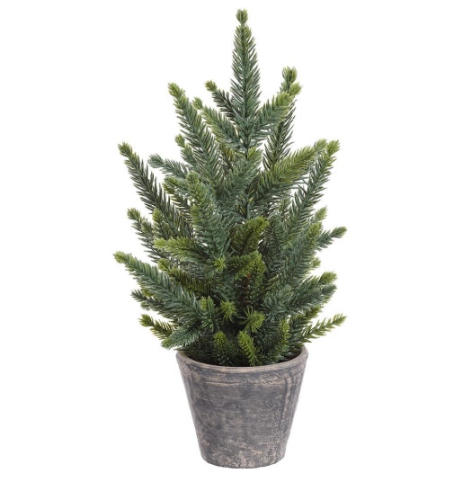 Pine Tree in Cement Pot - 13"