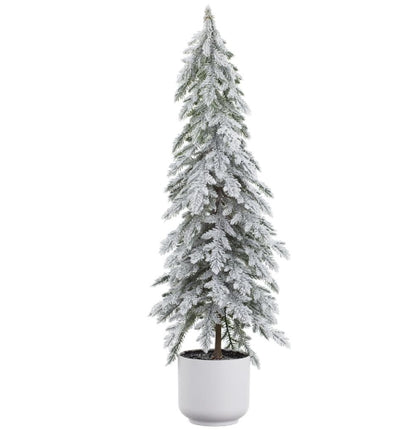 Snow Pine Tree in a Pot - 2 Sizes