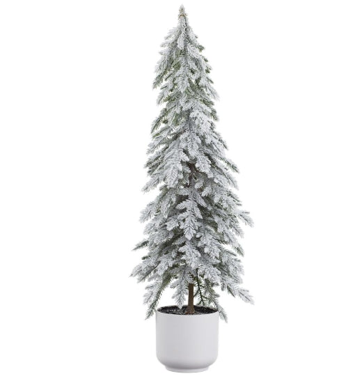 Snow Pine Tree in a Pot - 2 Sizes