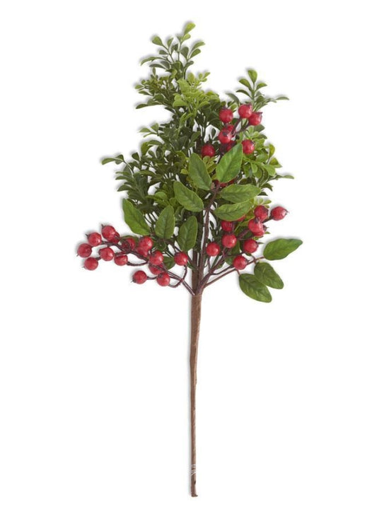Mixed Boxwood and Red Berry Stem - 20"