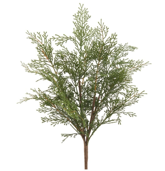 Cedar Bush - 20.5"