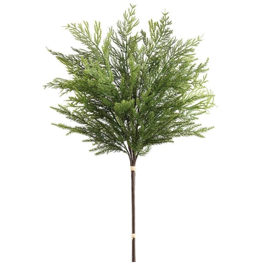 Deluxe Mixed Cedar Bundle - 26"