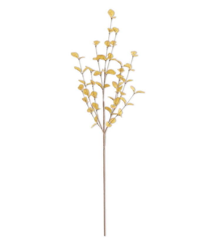 Yellow Eucalyptus - 34"