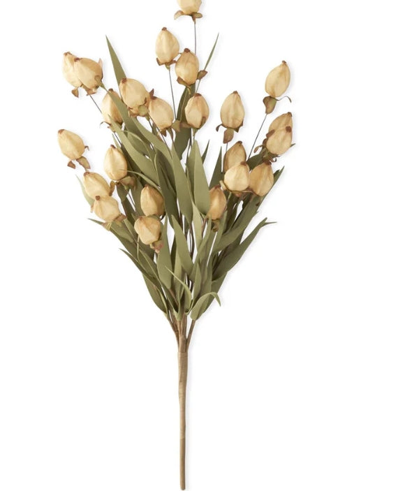Cream Chinese Lantern Bush - 22"