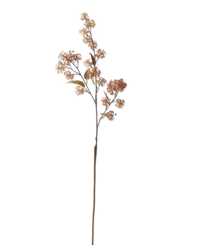 Elderberry Orange Stem - 35"