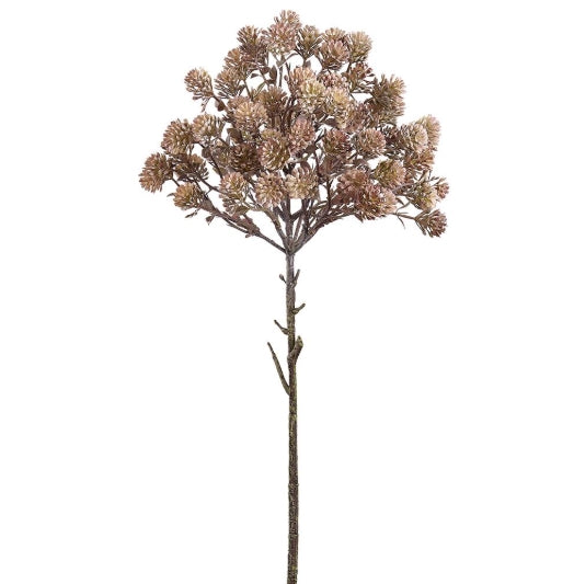 Brown Sedum Spray - 20.5"