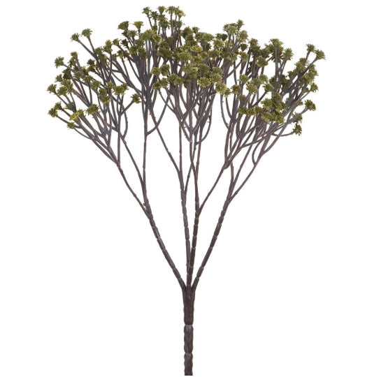 Green Baby's Breath Bush - 13"