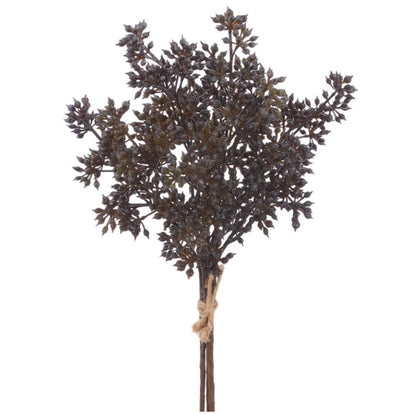 Sedum Bundle - 12" - 2 Colors
