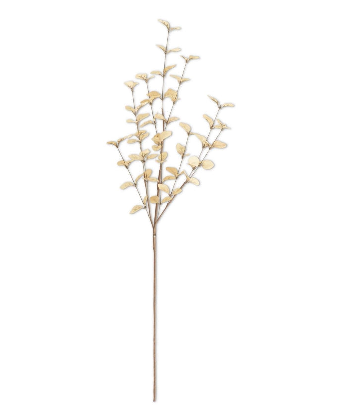 Beige Eucalyptus Stem - 34"