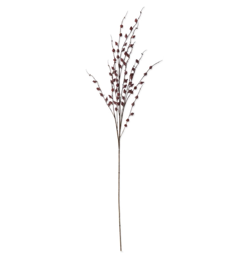 Burgundy Straw Flower Stem - 47"