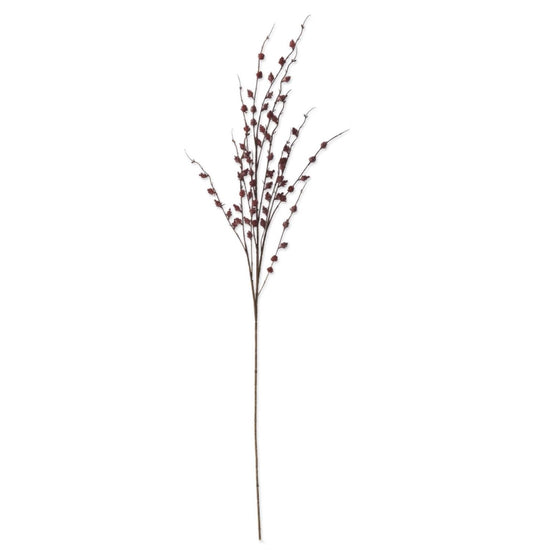 Burgundy Straw Flower Stem - 47"