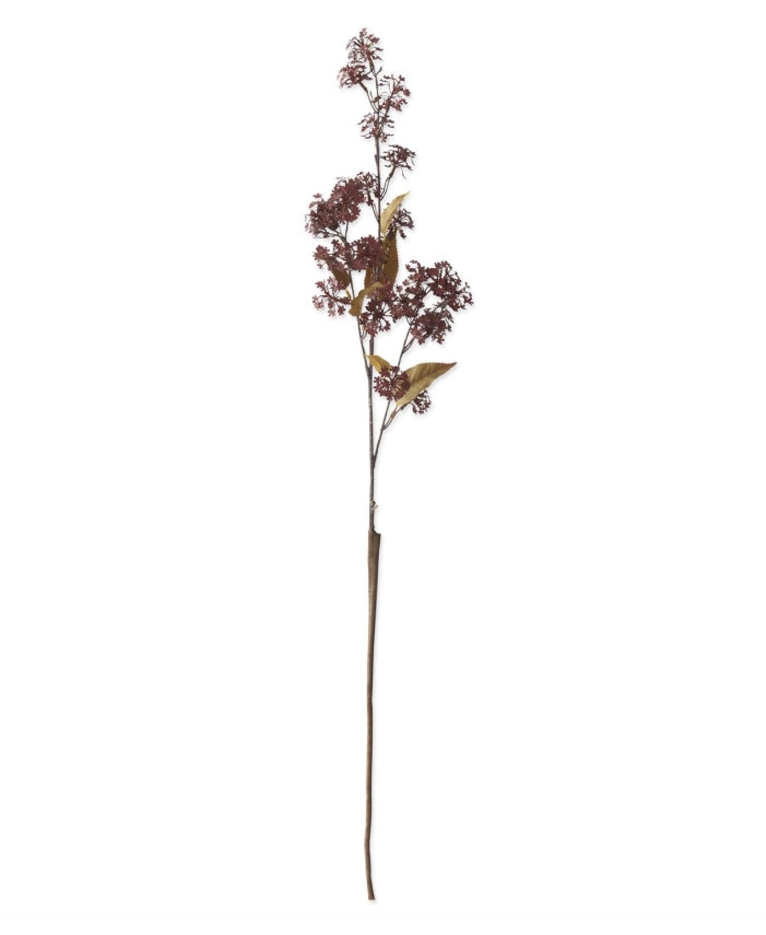 Burgundy Elderberry Stem - 35"