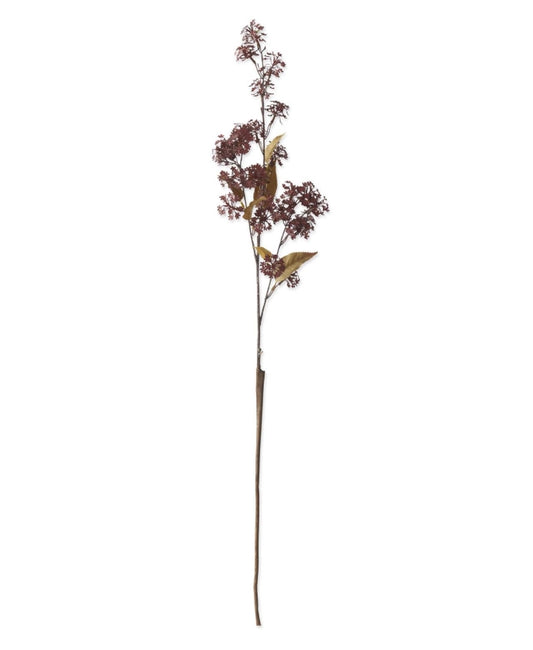Burgundy Elderberry Stem - 35"