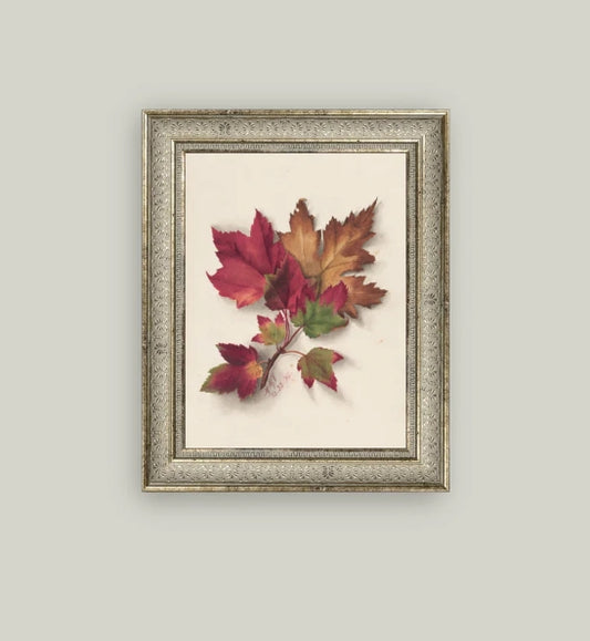 Autumn Leaves Framed Art - 3 Sizes