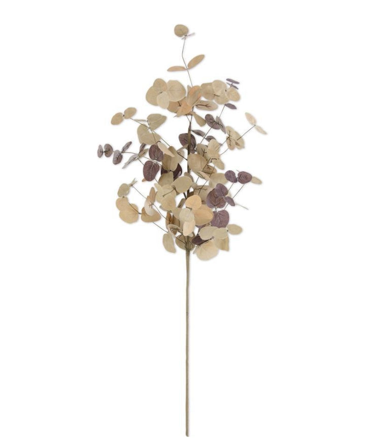 Tan Two Tone Eucalyptus Stem - 36"