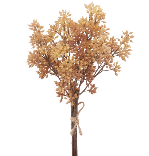Variegated Tan Sedum Bundle - 12"
