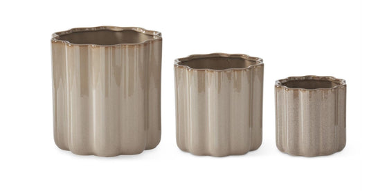 Tan Scalloped Container - 3 Sizes (local pick only) ￼