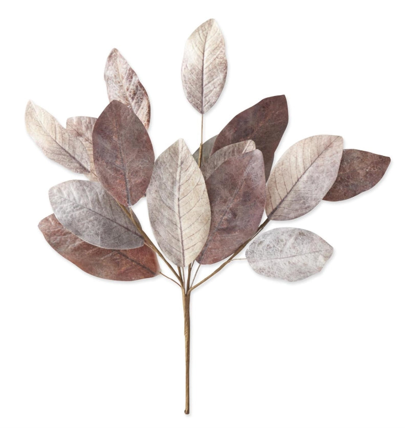 Fall Magnolia Leaf Bush - 20"