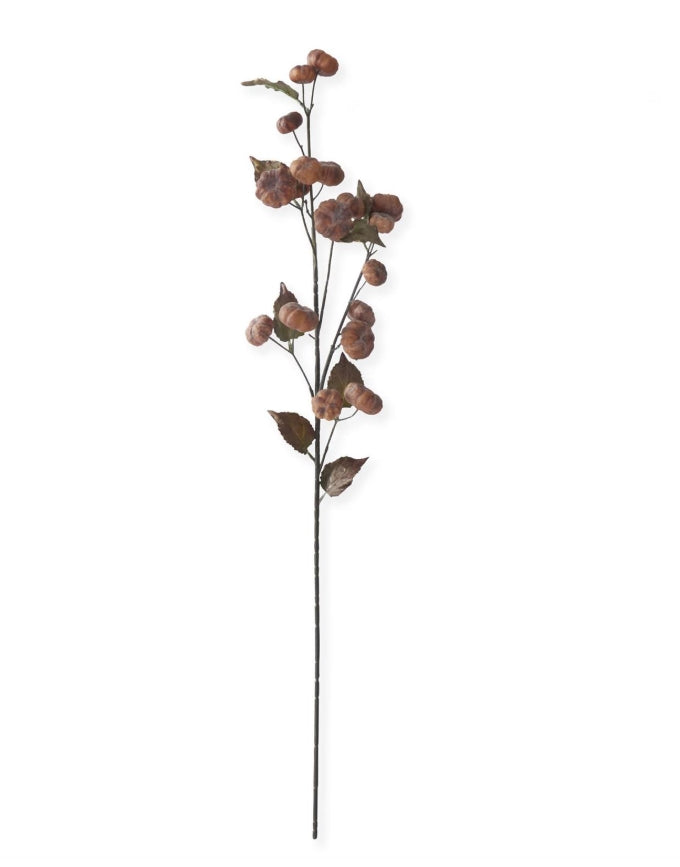 Brown Pumpkin Stem - 37"