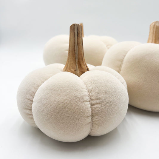 Cream Velvet Pumpkin - Small