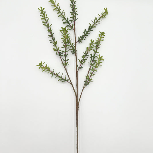 Privet Foliage Stem- 38"