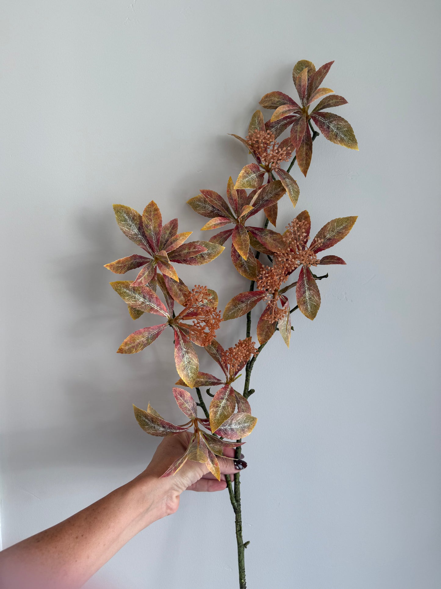 Fall Foliage Flowering Stem
