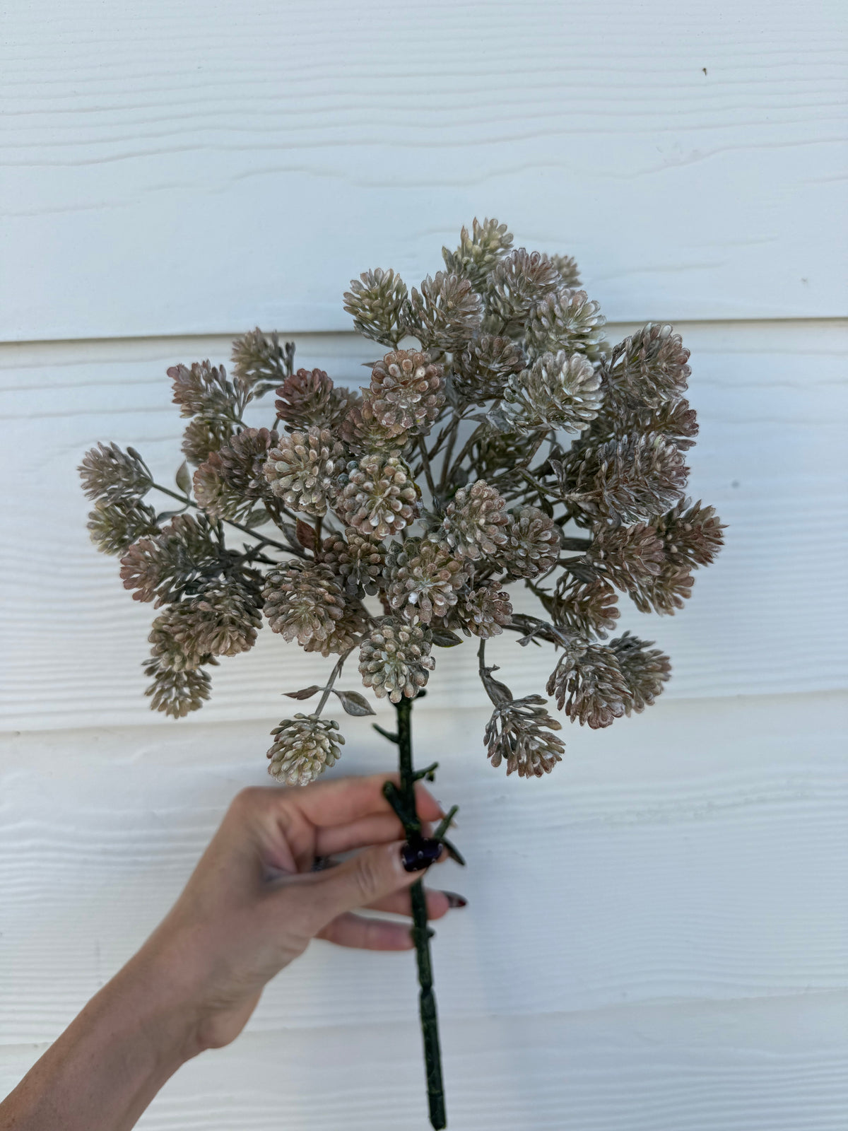 Light Brown Sedum Spray - 20.5"