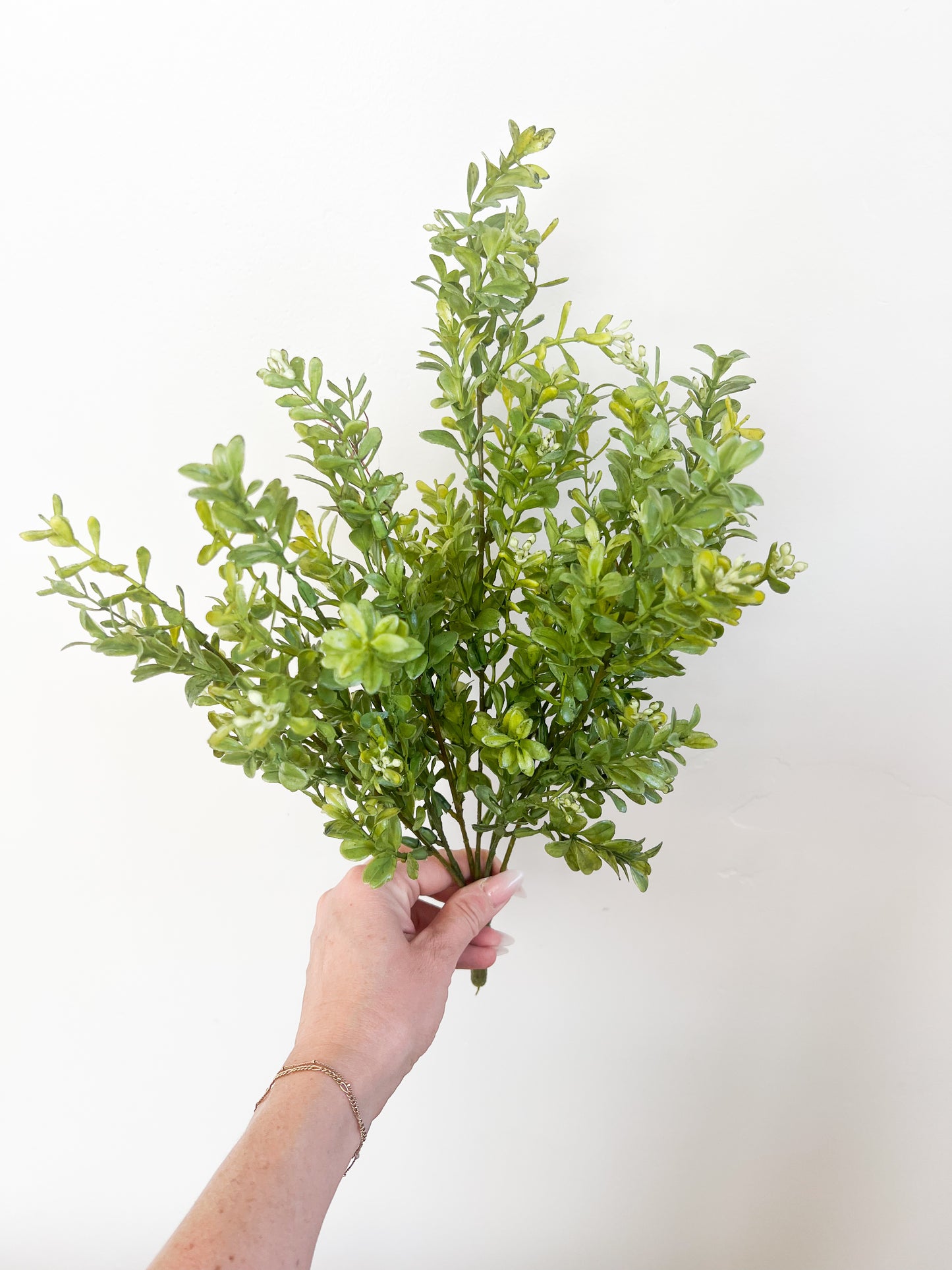 Boxwood Bush - 17"