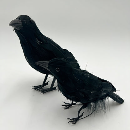 Large Black Crow