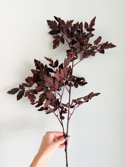 Ramosa Leaf Spray - 31”
