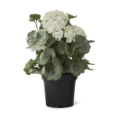 Potted Geranium - 14.5"