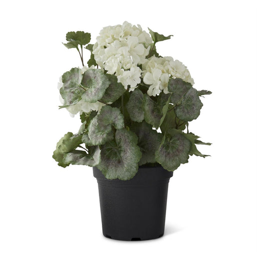 Potted Geranium - 14.5"