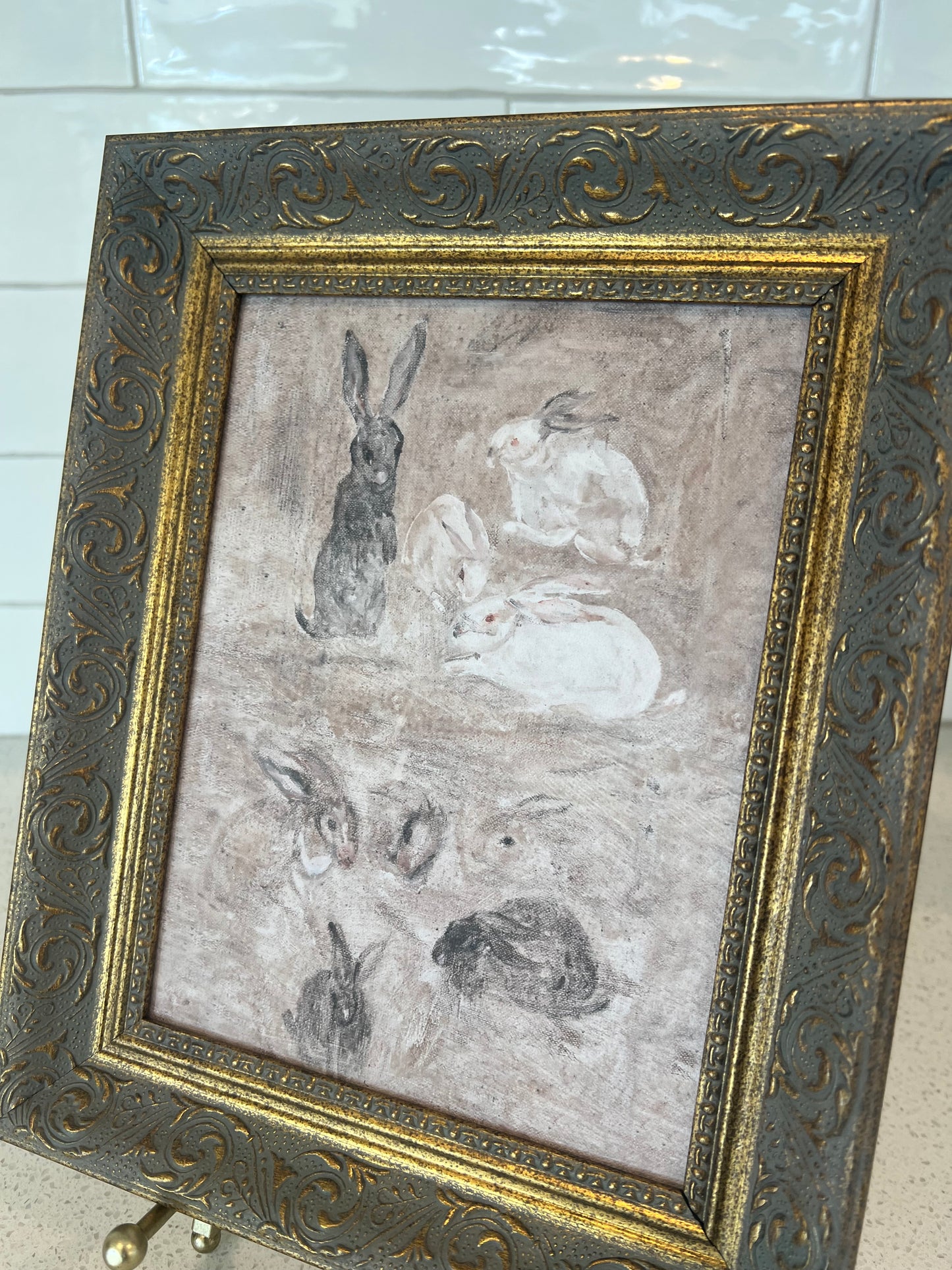 Wandering Bunnies