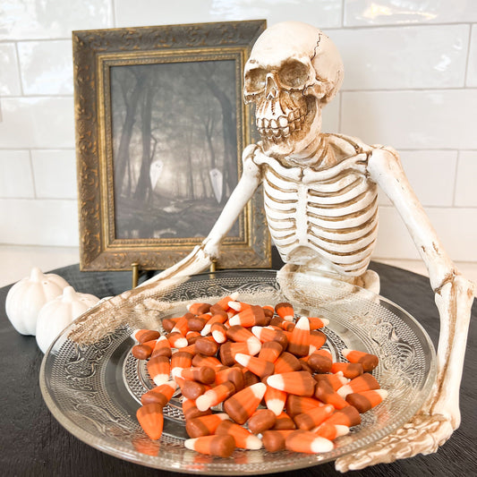 Sitting Skeleton Holding Glass Plate