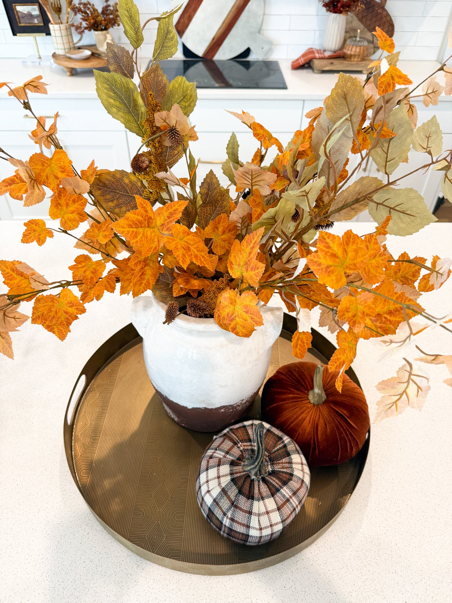 Birch Leaves (2) & Orange Maple Stems (3)