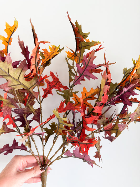 Oak Leaf Bush - 19”￼