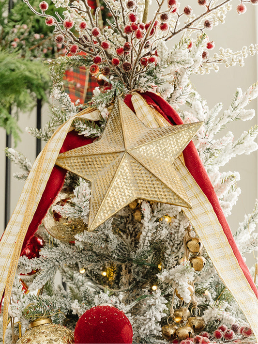 Star Ornament - 8"