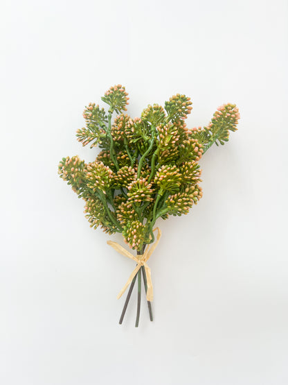 Soft Sedum Bundle - 11"